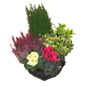 Coupe de plantes coupe taille S