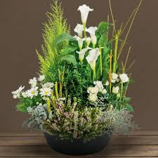 Coupe de plantes coupe taille XL