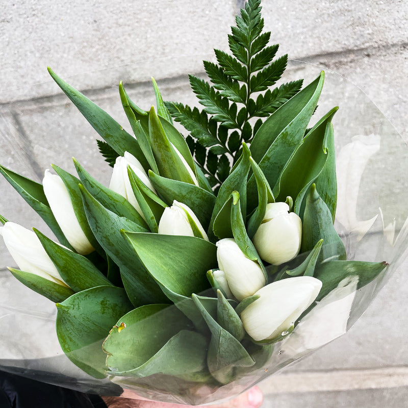 Brassée de tulipes blanches