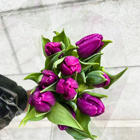 Brassée de tulipes violettes